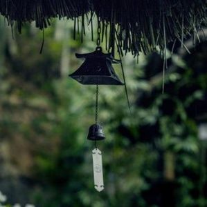 Meet your Posher, Abigail